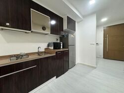 Loft @ Nathan (D10), Apartment #500621611